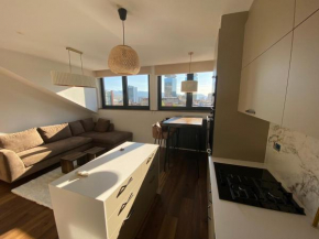 New modern apartment in the city Center